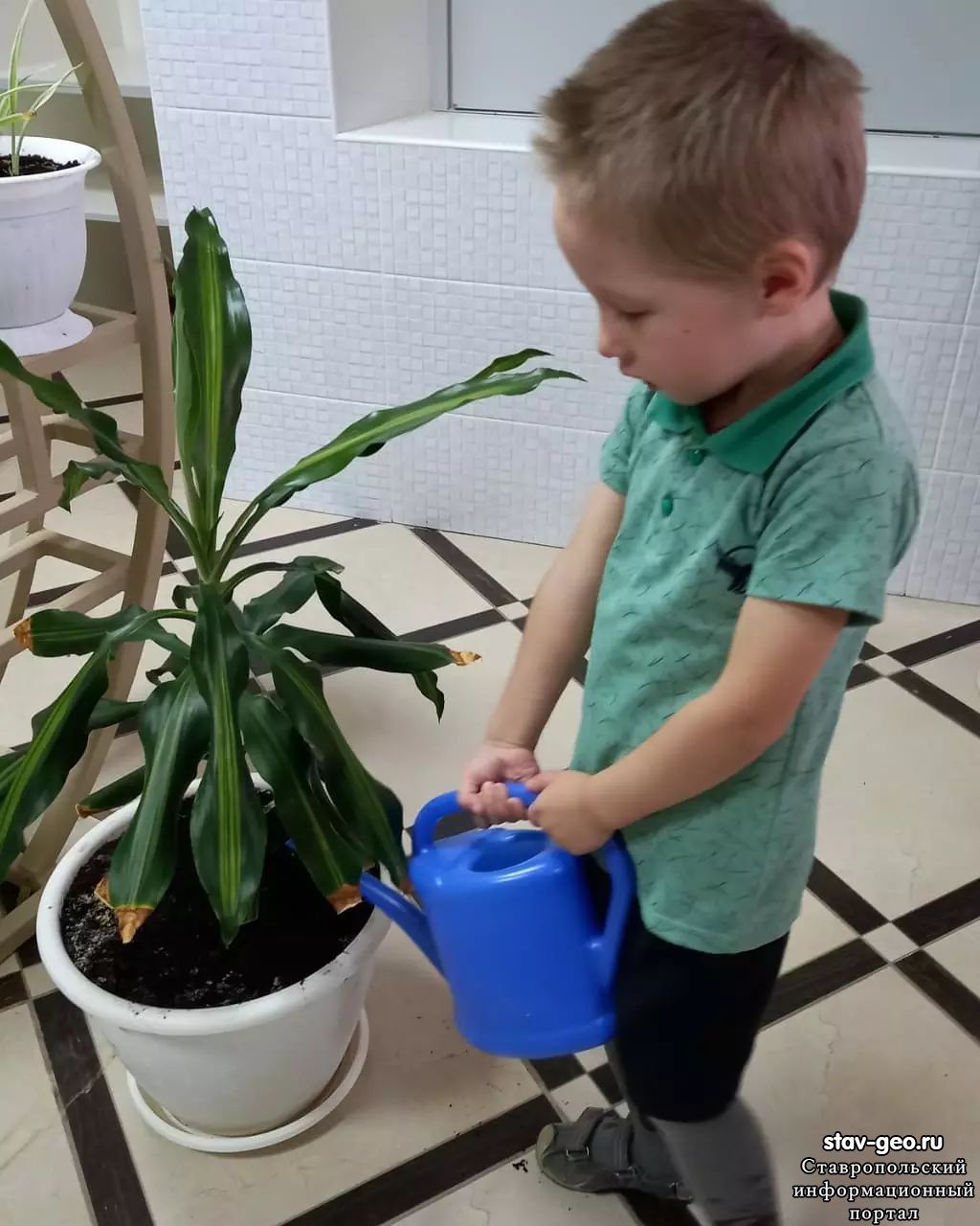 Знакомство с комнатными растениями одна из задач экологического воспитания