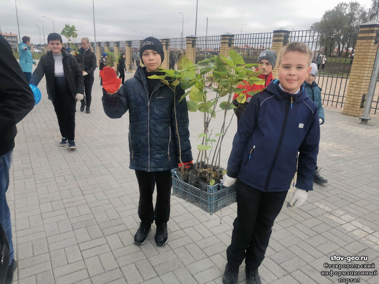 В рамках Краевой Экологической акции Сохраним Природу Вместе в нашей школе было посажено 27 саженцев декоративных деревьев