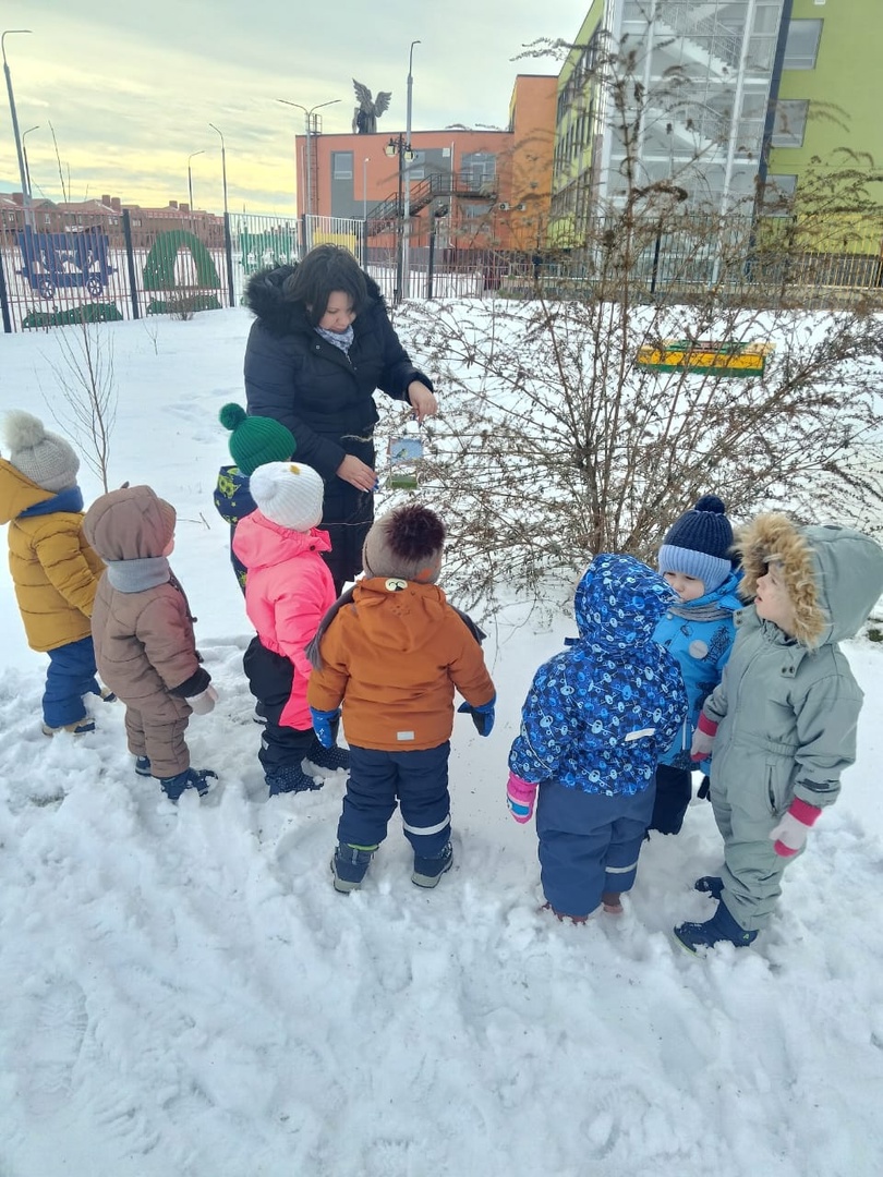 МБДОУ "Детский сад № 34" в 1 младшей группе № 4 были проведены с детьми беседы: Птицы зимой