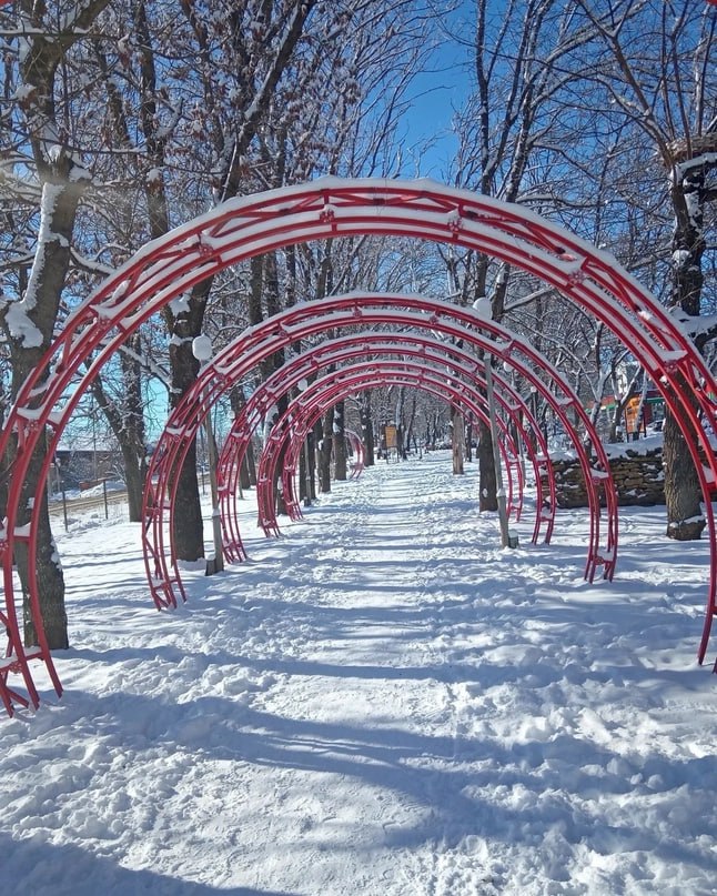 Прогулка в жилом районе Гармония 28 января 2024 зимняя Аллея Ласточек