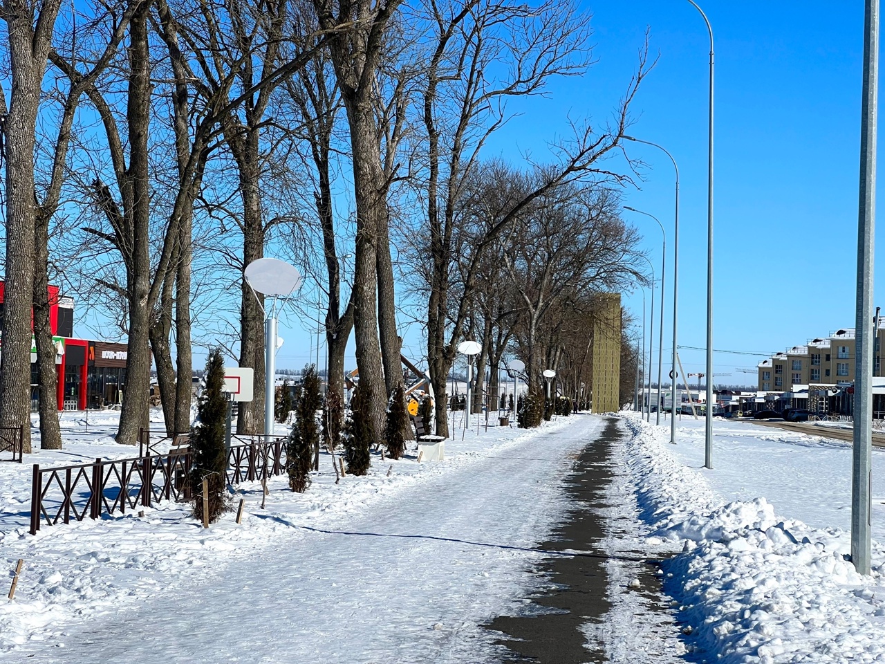 Прогулка в жилом районе Гармония 25 января 2024 зимняя Аллея Здоровья