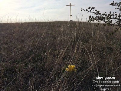 Шпаковский район Ботанический заказник Новомарьевская поляна