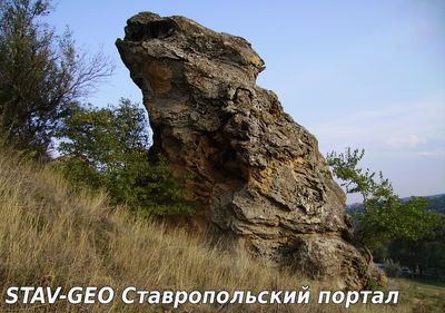 Гора Лягушинка  с.Александровское
