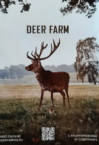 Оленья ферма Deer Farm в Крымгиреевском: чем заняться