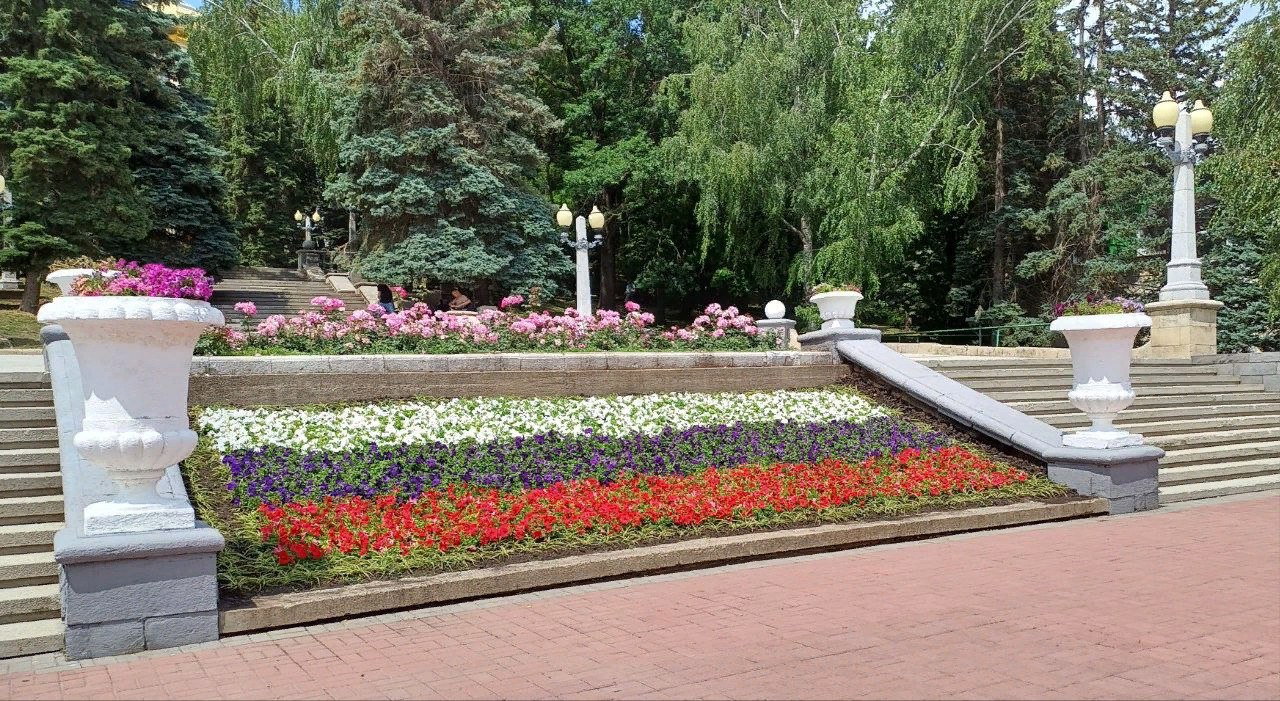 Цвета триколора окрасили городские цветники Ставрополя