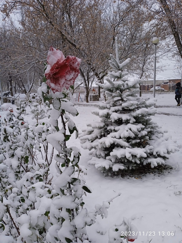 Снегопад в Гармонии 23.11.2023