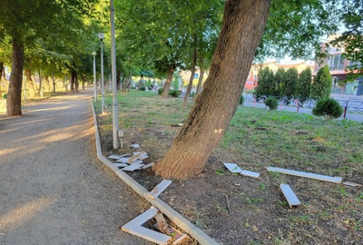 Все детские площадки в отвратительном состоянии, урн почти нигде нет, лавочки сломаны