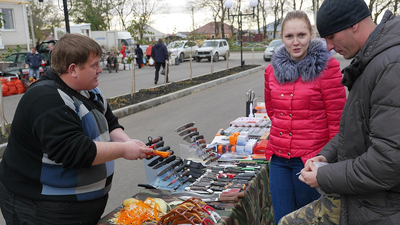 День народного единства в жилом районе Гармония ноябрь 2016