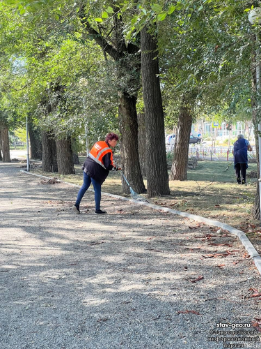 В жилом районе Гармония, на аллее осенняя уборка