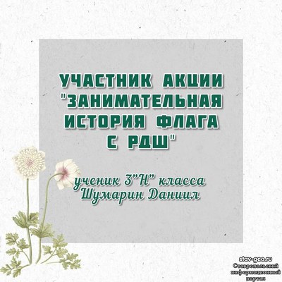 Ученики нашей школы поддержали акции РДШ и активно принимают в них участие!