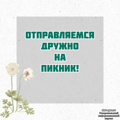 МБОУ СОШ №20 Михайловск, жилой район Гармония - «Пикник…как много в этом слове!»