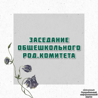 МБОУ СОШ №20 Михайловск, жилой район Гармония - прошло очередное заседание общешкольного родительского комитета