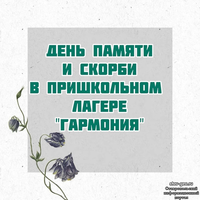 МБОУ СОШ №20 Михайловск, жилой район Гармония - в пришкольном лагере 