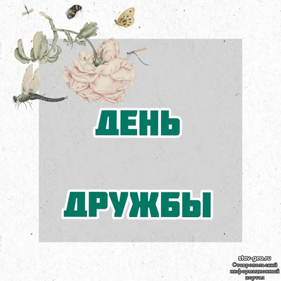 МБОУ СОШ №20 Михайловск, жилой район Гармония - «День дружбы» в пришкольном лагере 