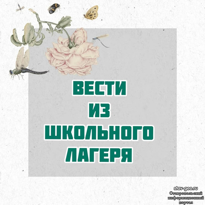 МБОУ СОШ №20 Михайловск, жилой район Гармония - ВЕСТИ ИЗ ШКОЛЬНОГО ЛАГЕРЯ 