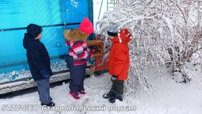 В старшей группе № 7 обощили знания детей о зимующих птицах