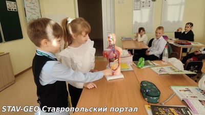 На уроке окружающего мира ученики 2 Д класса изучали строение человеческого тела.