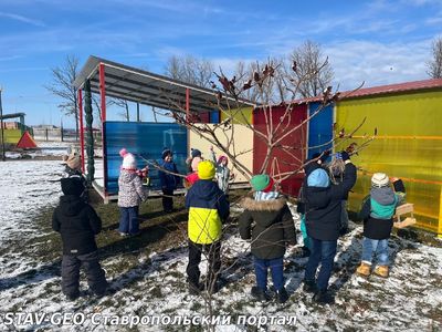 Участие в экологической акции Каждой пичужке - кормушка и Покормите птиц