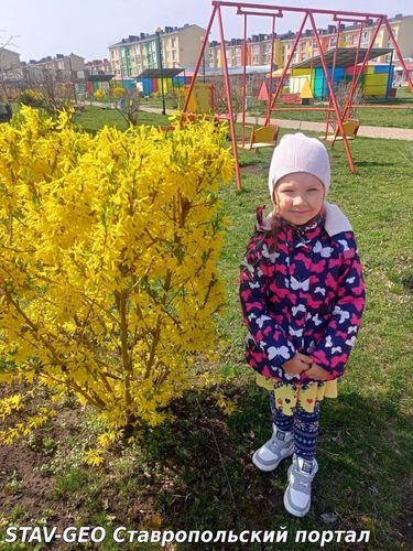 Интересная и познавательная прогулка прошла в средней группе № 15