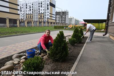 Прошел очередной субботник по уборке территории детского сада!