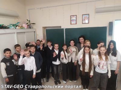 Провизор