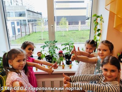 Старшая группа N8 