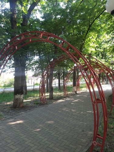 Прогулка от 11.06.2025