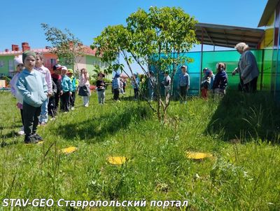 Экологическое образование начинается в детском саду
