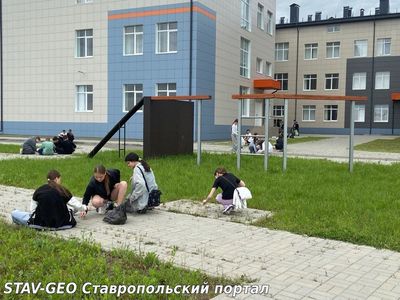 Каникулы? Да! Но и дело — по расписанию!