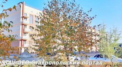 Жилой район Гармония, Михайловск