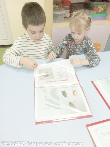 МБДОУ Детский сад № 34 В подготовительной группе №5 прошло занятие По страницам Красной книги