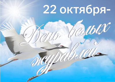 МБДОУ Детский сад № 31 Белые журавли взлетели в наших сердцах!