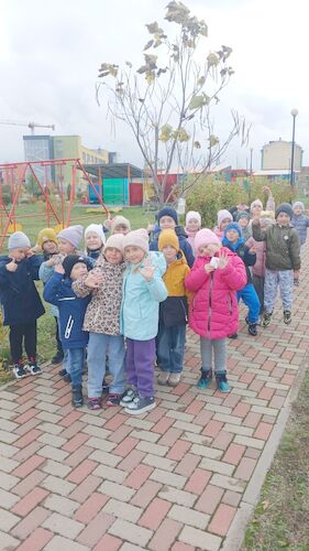 МБДОУ Детский сад № 34 воспитанники подготовительной группы 7 посадили берёзы