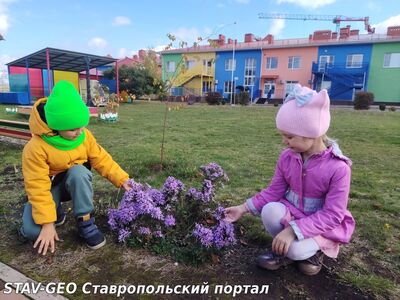 МБДОУ Детский сад № 34 Воспитанники старшей группы № 15 приняли активное участие в экологической акции Сохраним природу Ставрополья