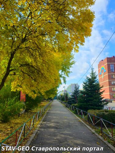 Ясный день 17 октября 2025 в жилом районе Гармония