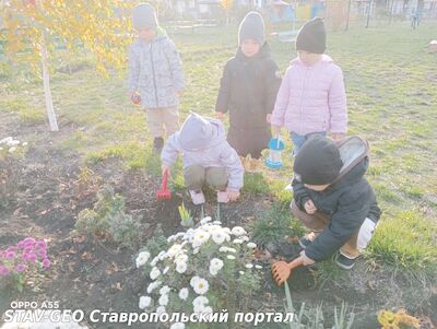 МБДОУ Детский сад № 34 ребята второй младшей группы №2 учились заботиться о растениях на своем участке