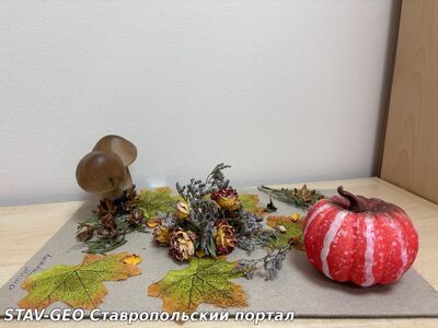 Детский сад №34 в старшей группе №10 проводится выставка поделок