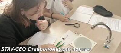 МБОУ СОШ №25 Для обучающихся 8-х классов прошли практические работы на тему: Исследование внешнего строения дождевого червя.