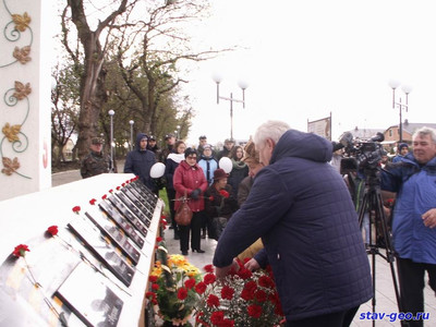 День белых журавлей – день поэзии и светлой памяти погибших, полный фото отчет с мероприятия