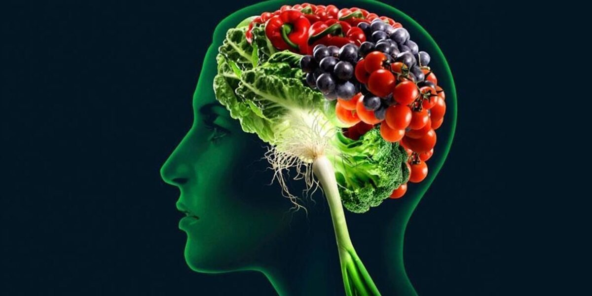 Влияние питания на мышление человека