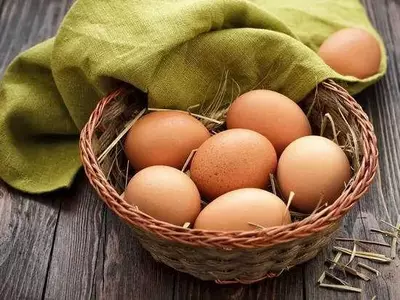 Яйцо куриное: вся правда об основном источнике белка