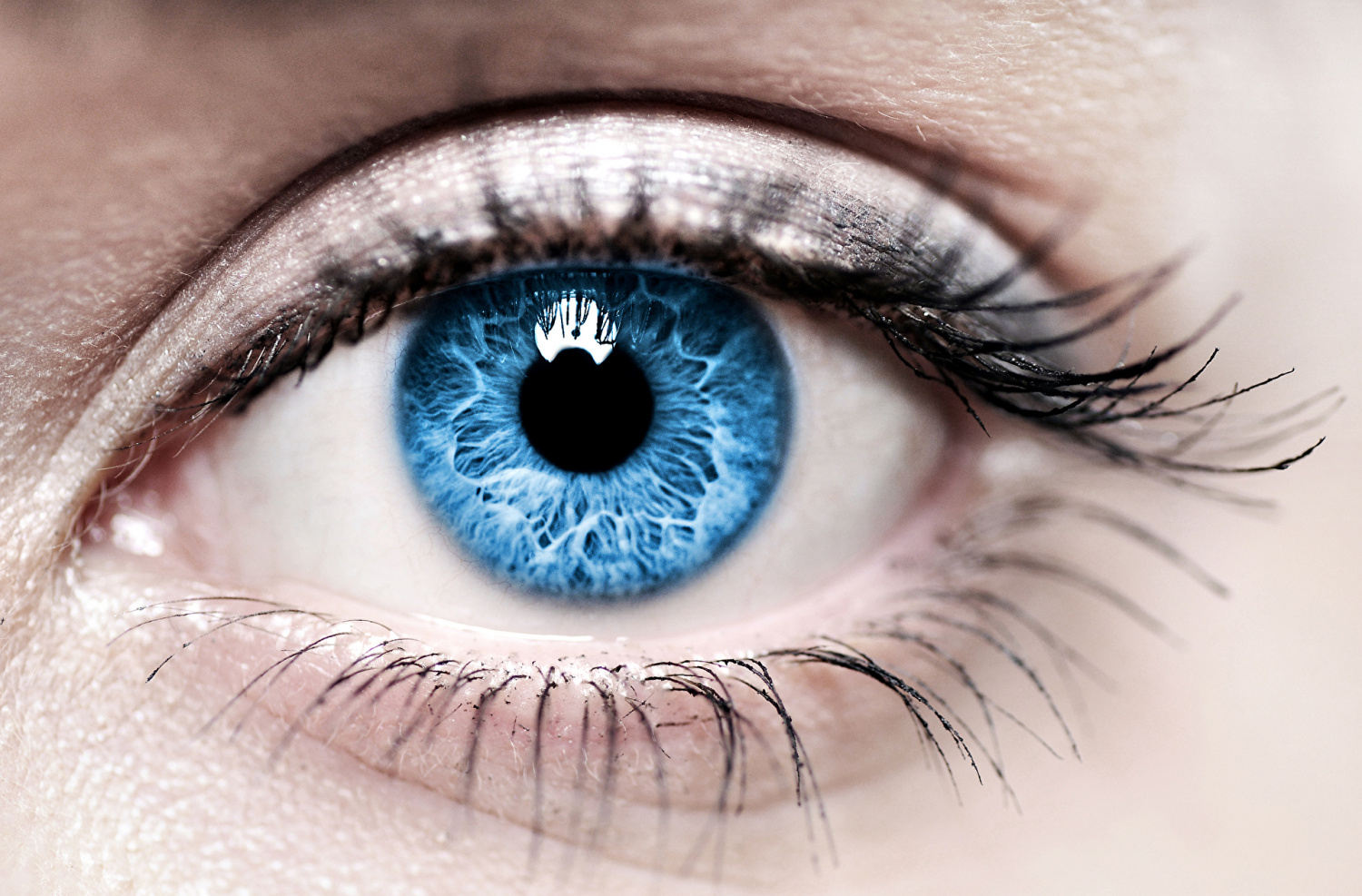 Как коллаген влияет на зрение?