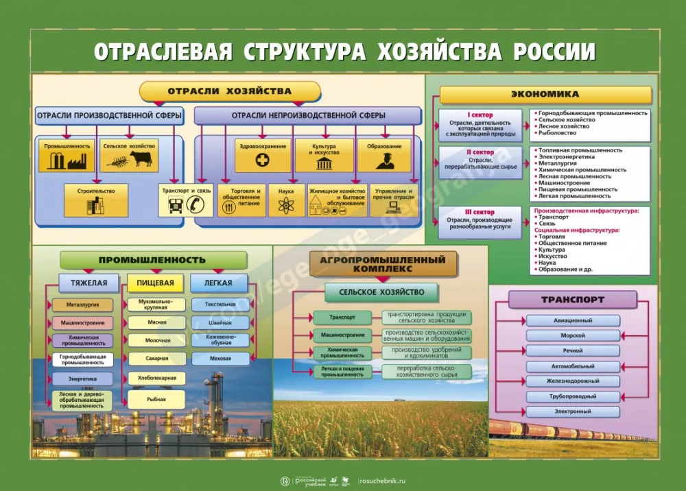 Структуры хозяйства страны: отрасли, сектора и регионы