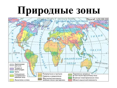 Природные зоны и высотная поясность: как устроена смена экосистем
