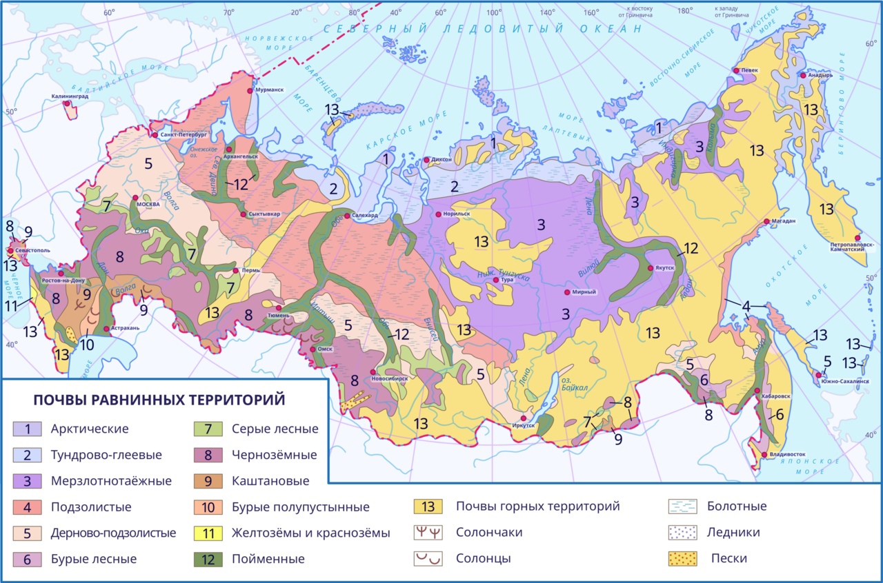 Типы почв России — опорный конспект