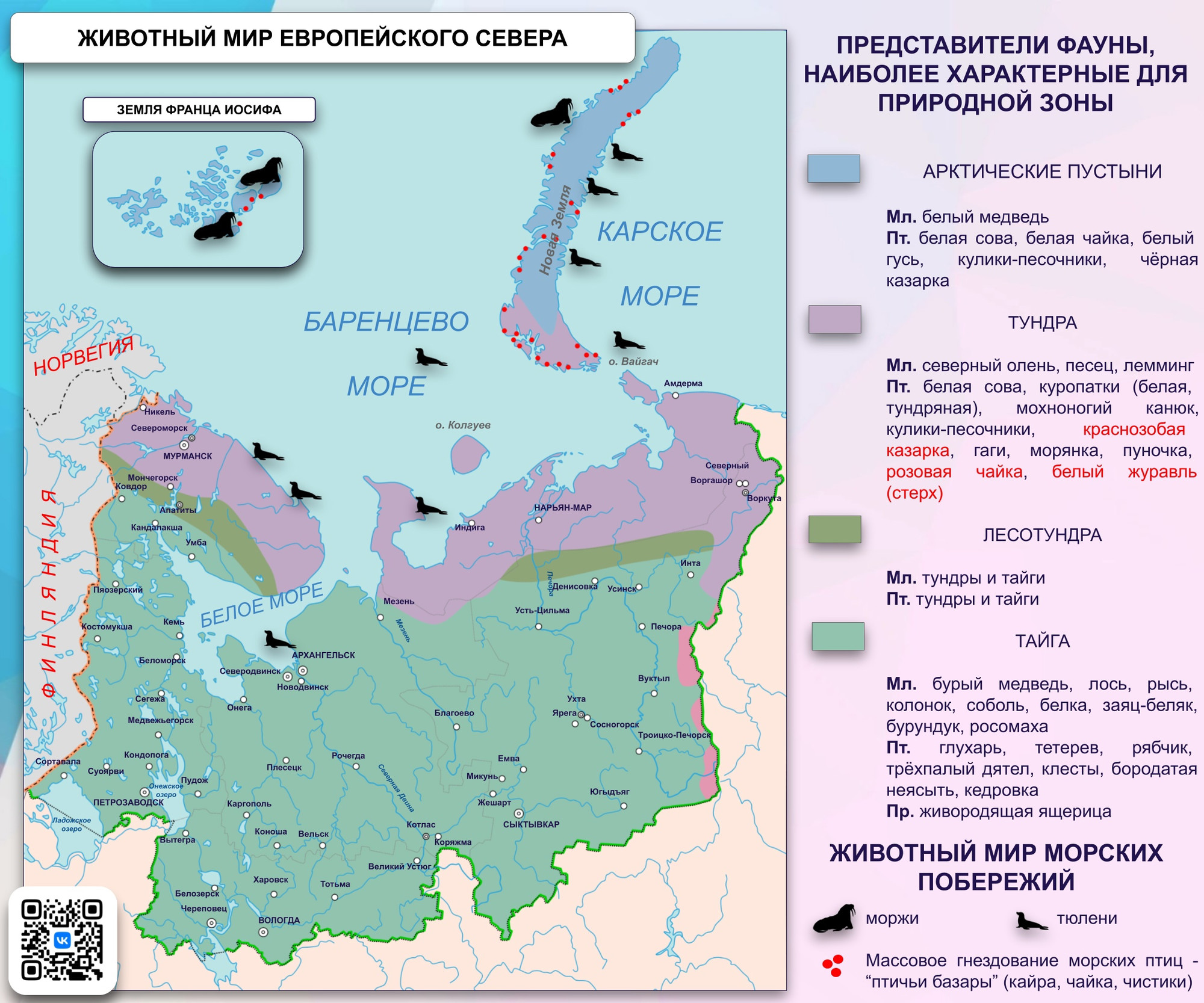 Карта Животный мир Европейского Севера