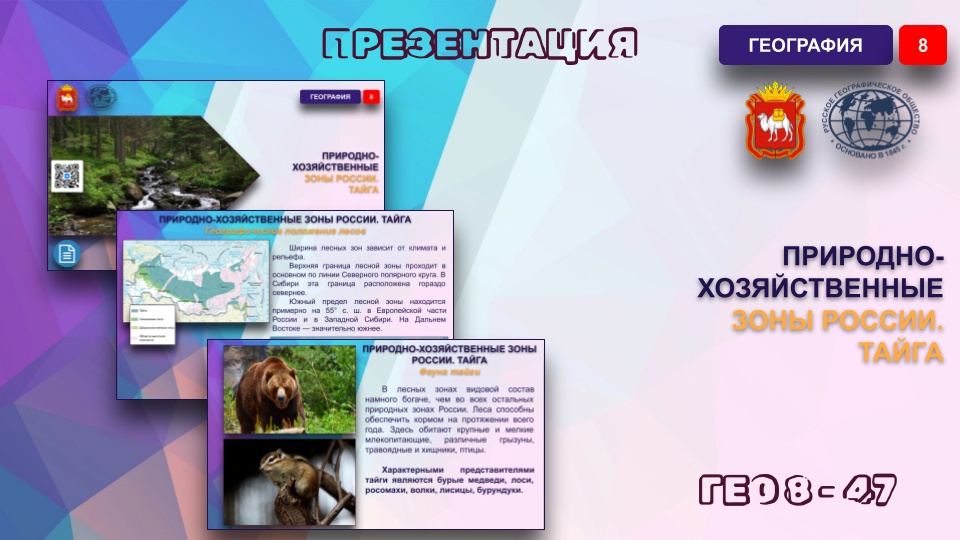 Природно-хозяйственные зоны России. Тайга