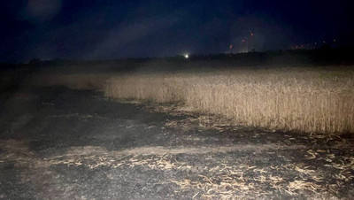 Гектар пшеницы сгорел в Новоалександровском округе