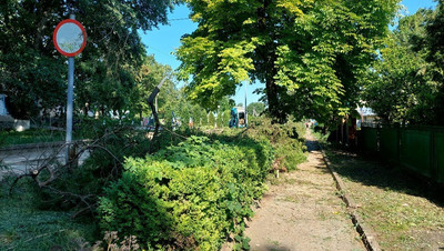 Новый парк появится в станице на Ставрополье по решению местных жителей