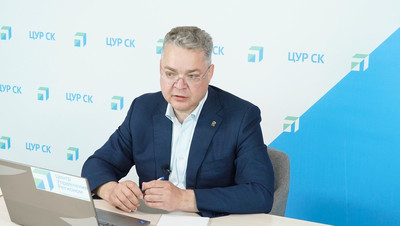 Губернатор Владимиров поручил решить проблему с вывозом мусора в Будённовске